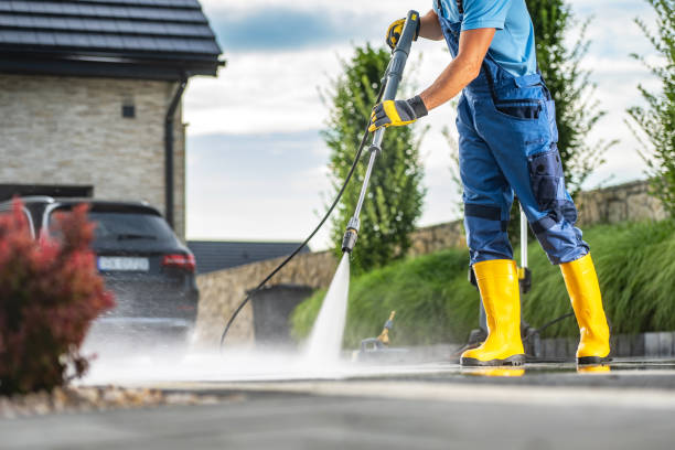 Best Solar Panel Cleaning  in Morrisonville, NY